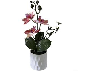 Low-Intervention Orchid Simulation for Environments Requiring Stable Visual Elements Over Extended Timeframes (D)