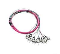 Low Loss Fiber Pigtail 12-Core OM4 Red for Data Center
