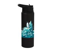 Low Poly Penguin Iceberg Geometric Arctic Graphic Stainless Steel Insulated Water Bottle