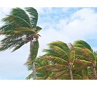 Low Pressure and Earth’s High Winds