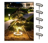 Low-Voltage Landscape Ring Tree Lights, Outdoor LED Lighting