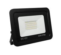 Lowenergie 12V Dc 30W Led Floodlight Day White 6500K