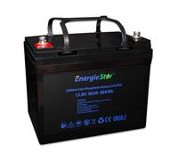 LOWENERGIE 30Ah 384Wh LiFePo4 Battery 12.8V Lithium-Ion Iron Phosphate 12V Leisure Solar Caravan (Battery only)