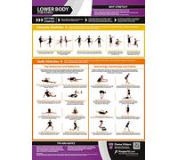 Lower Body Stretching | Dynamic & Static Stretches | Laminated Home & Gym Poster | FREE Online Video Training Support | Size - 594mm x 420mm (A2) | Improves Personal Fitness & Flexibility