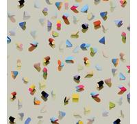 Lower Dens – Escape From Evil – CD – Digipak (2015)