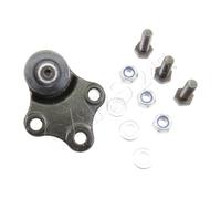 Lower Front Ball Joint Fits CITROEN Xsara Zx MPV PEUGEOT Partner Ranch 364043