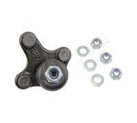 Lower Front RIGHT Ball Joint Fits AUDI A3 SEAT SKODA VW Caddy III 1K0407366B