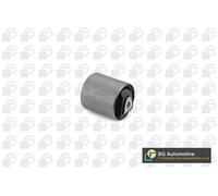 Lower Front Wishbone / Control / Trailing Arm Bush Fits BMW X5 X6 BGA BU0924