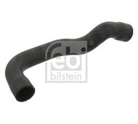 LOWER RIGHT RADIATOR HOSE 37131