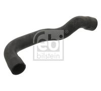 LOWER RIGHT RADIATOR HOSE FITS: BMW 3 SEDAN E36 316 I/318 I I