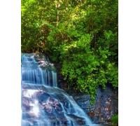 Lower Wildcat Falls Greenville County SC Gratitude Journal: 8.5 x 11 100 lined pages in softcover notebook