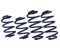 Lowering Springs for Audi A4 B5 Quattro Avant 4 Cyl. 40/30mm FS10-030