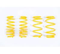 Lowering Springs for Mercedes-Benz C-Class T-Model S203 50/30mm 28225029