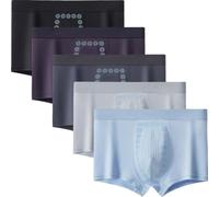 LOWVEDGK 5/8 Pcs Men's Massage Magnetic Therapy Underwears Magnetic Men's Boxer Brief (5 Pcs,L)