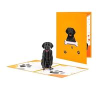 Loyal & Loved Labrador 3D Dog Pop Up Greeting Card