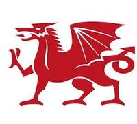 Loyalty Card Self Inking Stamp - Welsh Dragon