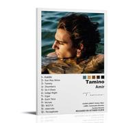 LOYANUKE Amir - Tamino Poster Room Decoration Painting Interior Aesthetics Canvas Oil Painting Star Movie Music Album Poster