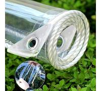 LOYID 4' X 6' Clear Vinyl Tarp, 14 Mil Clear Tarps Heavy Duty Water Resistant, 400g/m² Thickened Tear Resistant with Metal Grommets, for Patio Porch and Garden Chicken Coop