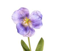 loyliawa Artificial Flowers,Fake Flowers,Artificial plants indoor, Artificial Opening Tulip with Stem Realistic Fake Silk Flower Faux Flower Branch Floral Arrangement Decoration Purple