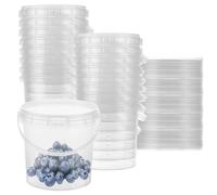 LOYORTY 30PCS 34 oz Plastic Ice Cream Containers, Clear Buckets with Lids and Handles, 1000ml Cocktail Rum Buckets for Snacks Deli Fruits, Drinks