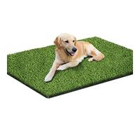 Loytryal 39.4 x 31.5 Inches Fake Grass Pee for Dogs Artificial Grass Rug Turf for Puppy Potty Training Washable Grass Mat Pee Grass for Dog Potty Tray