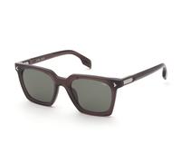 Lozza SL4393M ARPEGGIO 7 ARTE 06PQ Man Sunglasses Acetate Brown Green Geometric Normal