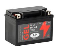 Lp Landport Ltz14-s 12v 11.2ah Gel Battery Clear