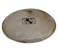 LP Latin Percussion Percussion head Plenera, for WB505, size 12" World Beat - WB505C