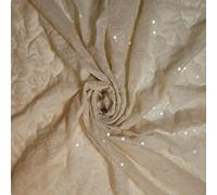 LP Power Net Fabric Premium Sheer 4 Way Stretch Mesh Lining Dressmaking Material 58-150cm (2 Meter, Beige Sequin)