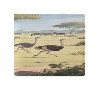 LPAGBCNU Wallet for Men Credit Card Holder for Women Slim Wallet Ostrichs in The Savannah Bifold Wallet with Id Window