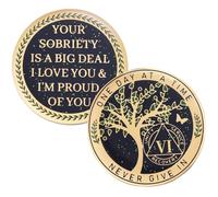 LParkin 24 Hours, 1/2 YearSobriety Chip, Tree of Life Recovery Coin, AA Recovery Medallion, Anniversary Token Sobriety Gifts, Alcoholics Anonymous Medallion (6 Years)