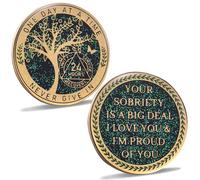 LParkin 24 Hours, 1/2 YearSobriety Chip, Tree of Life Recovery Coin, AA Recovery Medallion, Anniversary Token Sobriety Gifts, Alcoholics Anonymous Medallion (24 Hours)