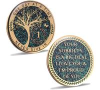 LParkin 24 Hours, 1/2 YearSobriety Chip, Tree of Life Recovery Coin, AA Recovery Medallion, Anniversary Token Sobriety Gifts, Alcoholics Anonymous Medallion (1 Year)