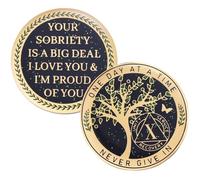 LParkin 24 Hours, 1/2 YearSobriety Chip, Tree of Life Recovery Coin, AA Recovery Medallion, Anniversary Token Sobriety Gifts, Alcoholics Anonymous Medallion (10 Years)