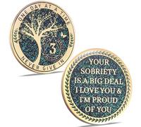 LParkin 24 Hours, 1/2 YearSobriety Chip, Tree of Life Recovery Coin, AA Recovery Medallion, Anniversary Token Sobriety Gifts, Alcoholics Anonymous Medallion (3 Years)