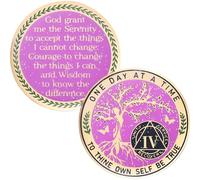 LParkin 4 Year Sobriety Coin, Tree of Life Sobriety Coin, Inspirational AA Coin, Alcoholics Anonymous Chips and Medallion, Sobriety Gifts for Women