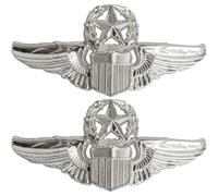 Lpitoy 2 Pcs Metal Aviator Wings Pin Pilot Wing Badges Aviator Wing Pins Fighter Pilot Brooch for Clothes Backpack Hat Shirt Uniform Decoration