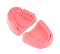 Lpitoy 2pcs Dental Suture Practice Model, 3 in 1 Oral Suture Teaching Module,Soft Silicone Oral Multiple Wound Gingival Suture Training