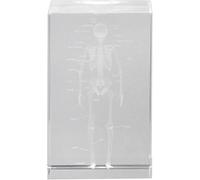 Lpitoy 3d Human Skeleton Anatomical Model Paperweight(Etched) in Crystal Glass Cube Science Gift