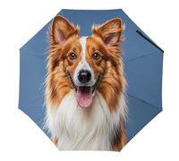 LPSADGF Automatic Travel Umbrella with UV Protection - Cute Collie Dog Windproof Compact Folding Umbrella for Women, Lightweight Portable Purse Umbrellas for Rain And Sun Protection