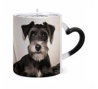 LPSADGF Coffee Mug Color Changing Mug Cute Schnauzer Funny Heat Sensitive Color Changing Coffees Cup Ceramic Magic Cup Novelty Coffee Mugs Personalized Tea Cups Gift for Women Men