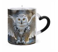 LPSADGF Coffee Mug Color Changing Mug Snow Owl Funny Heat Sensitive Color Changing Coffees Cup Ceramic Magic Cup Novelty Coffee Mugs Personalized Tea Cups Gift for Women Men