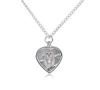 LPSADGF Curious Barred Owl Closeup Pet Cremation Jewelry for Ashes, Pet Urn Necklace Dog Cat Ashes Holder Memorial Locket Pendant with Long Chain, Cremation Urn Necklace for Pets Lovers