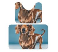 LPSADGF Dachshund Weiner Pet Dog Bathroom Rug Set Soft Bath Rug Toilet Mat U-Shaped Bath Rugs Quickly Dry Mat for Bathroom, Tub, Washable, Super Absorbent Floor Mats 19.7"x31.5"