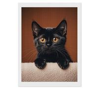 LPSADGF Diamond Painting Kits for Adults Cute Peeping Black Cat DIY Paint by Numbers for Adults Beginner 5D Full Drill Square Diamond Dots Paintings Picture Arts Craft for Home Wall Decor 12"x16"
