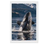 LPSADGF Diamond Painting Kits for Adults Orca Killer Whale DIY Paint by Numbers for Adults Beginner 5D Full Drill Square Diamond Dots Paintings Picture Arts Craft for Home Wall Decor 8"x12"