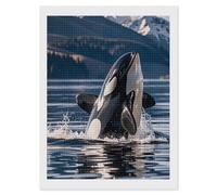LPSADGF Diamond Painting Kits for Adults Orca Killer Whale DIY Paint by Numbers for Adults Beginner 5D Full Drill Square Diamond Dots Paintings Picture Arts Craft for Home Wall Decor 12"x16"