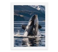 LPSADGF DIY Paint by Numbers Kit for Adults Orca Killer Whale Beginners Digital Oil Painting Kit Landscape Digital Paints by Number Easy Canvas Art Print for Home Wall Decoration 40x30cm