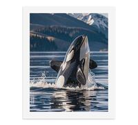 LPSADGF DIY Paint by Numbers Kit for Adults Orca Killer Whale Beginners Digital Oil Painting Kit Landscape Digital Paints by Number Easy Canvas Art Print for Home Wall Decoration 50x40cm