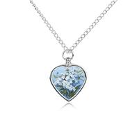 LPSADGF Do Not Forget Me Pet Cremation Jewelry for Ashes, Pet Urn Necklace Dog Cat Ashes Holder Memorial Locket Pendant with Long Chain, Cremation Urn Necklace for Pets Lovers